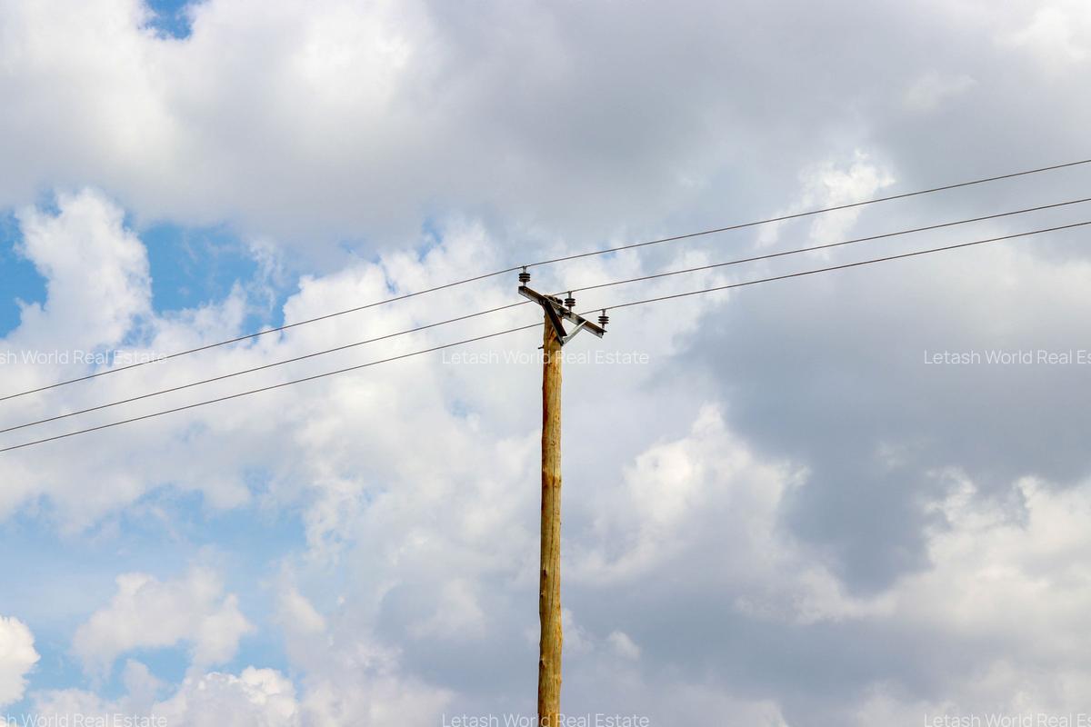 Residential Land in Naivasha - 11