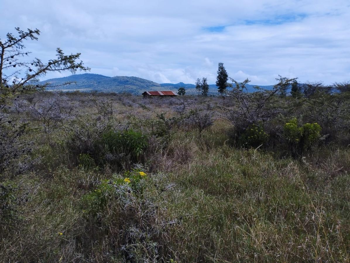 2 ac Land in Nanyuki - 5