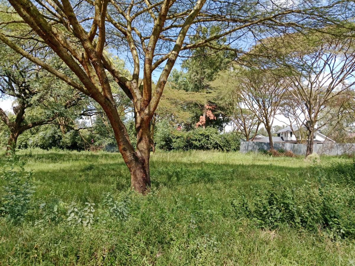 Land at Roysambu - 4