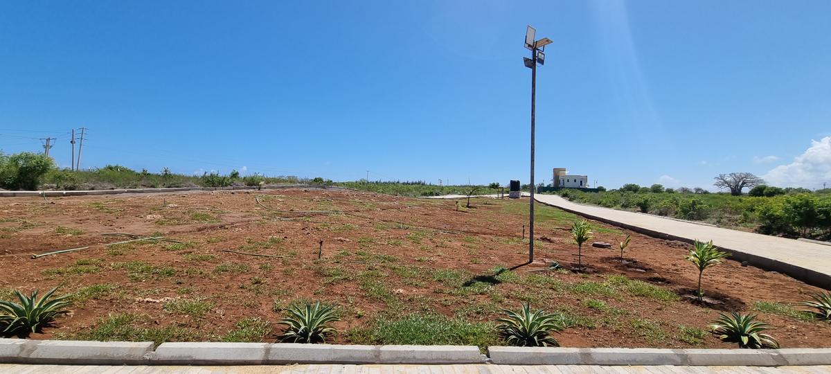 Land at Vipingo - 19