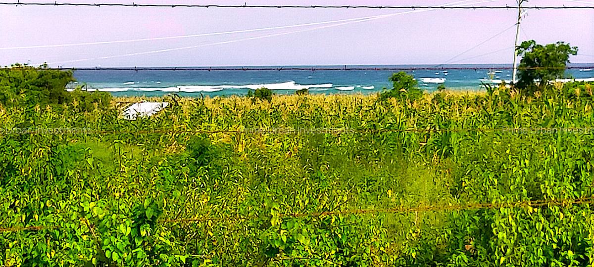 Land in Kikambala - 16