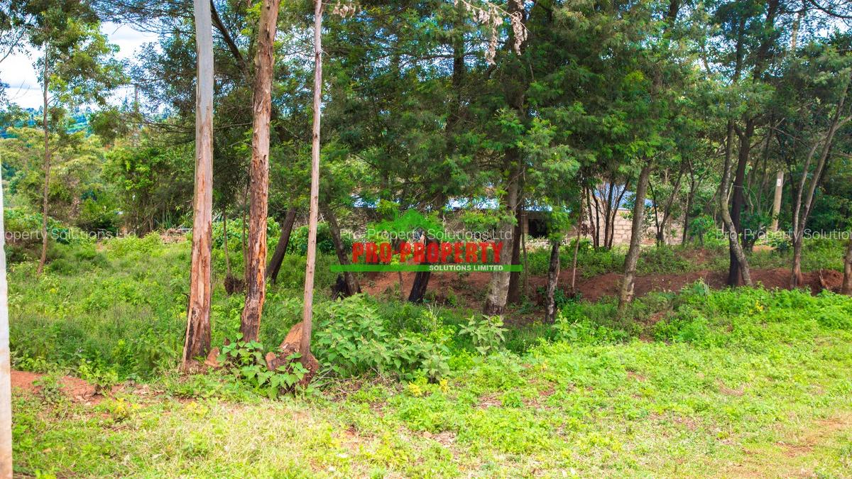 0.05 ha Residential Land at Lusigetti - 8