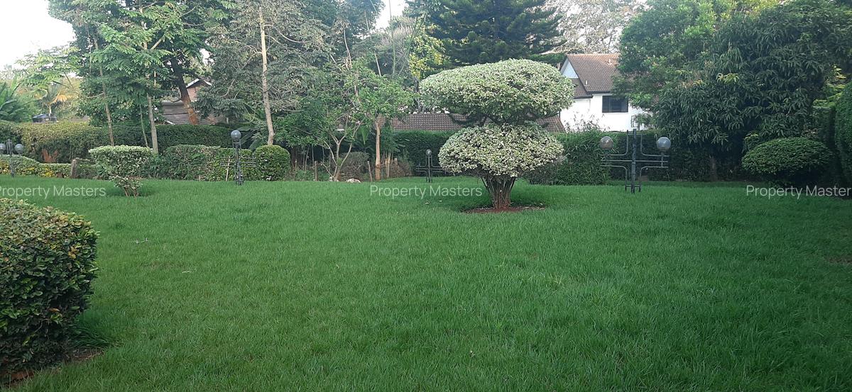 5 Bed House with En Suite at Duom Palm Street - 18