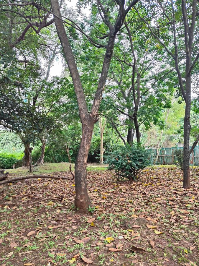 2 ac Land at Lantana Road - 18