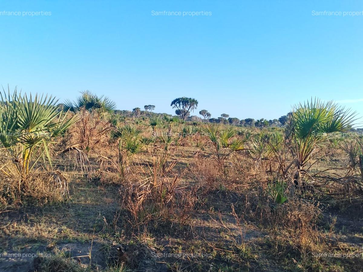 33 ac Commercial Land at Kiwengu - 5
