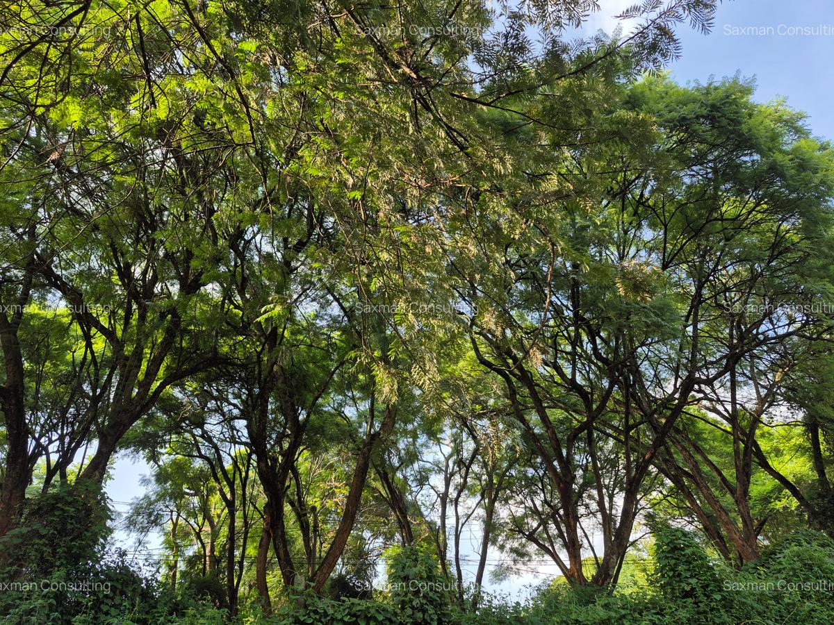 Land in Kitisuru - 4