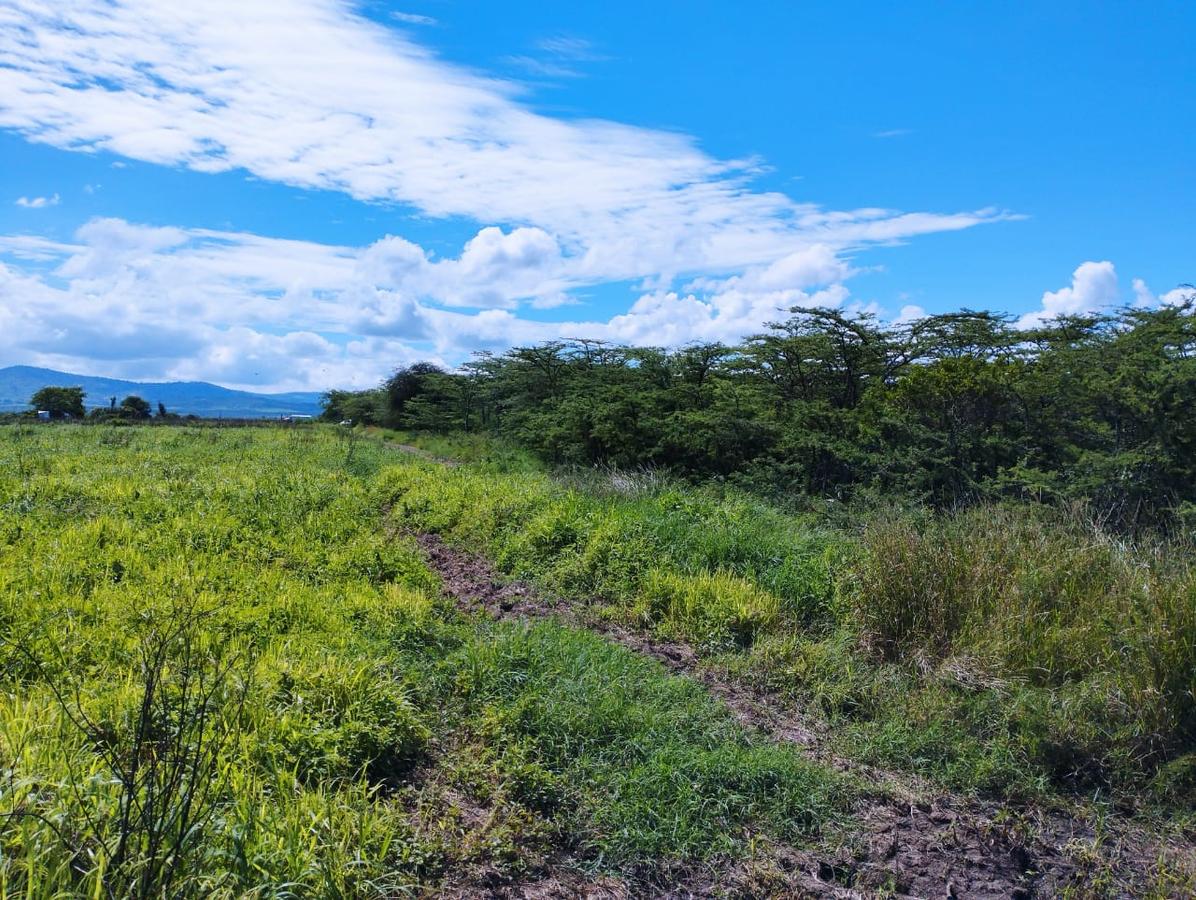 8.5 ac Land at Jua Kali - 5