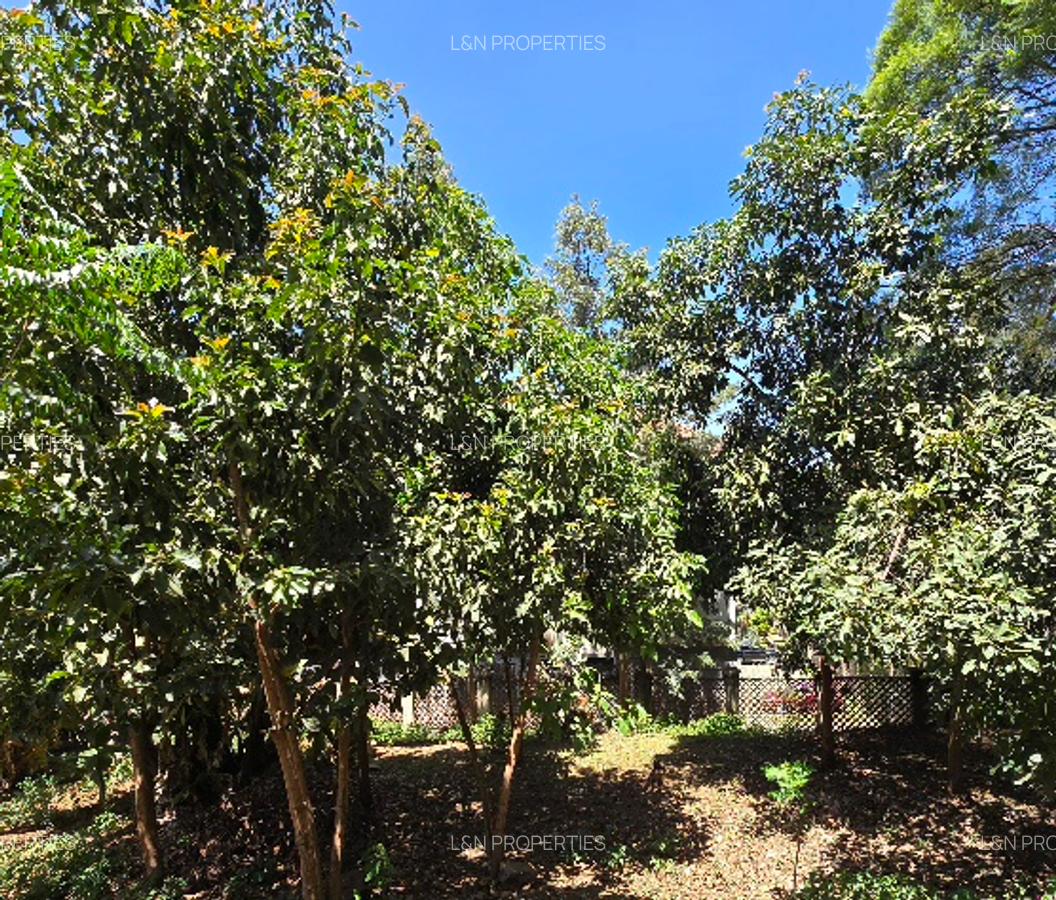 0.5 ac Land at Riara Road - 9