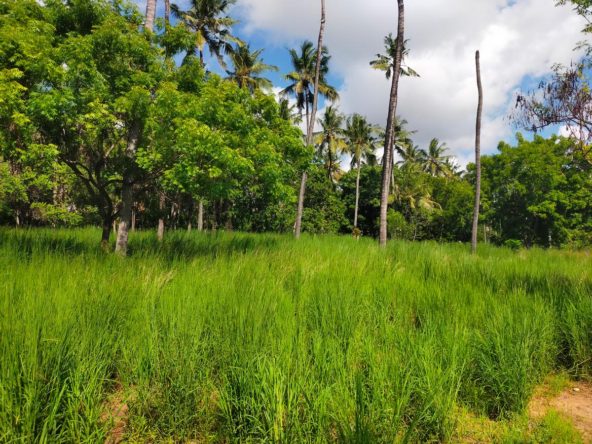 Land in Kilifi County - 20