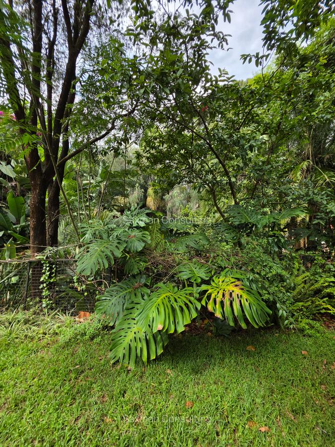 4 Bed House with Garden in Spring Valley - 2