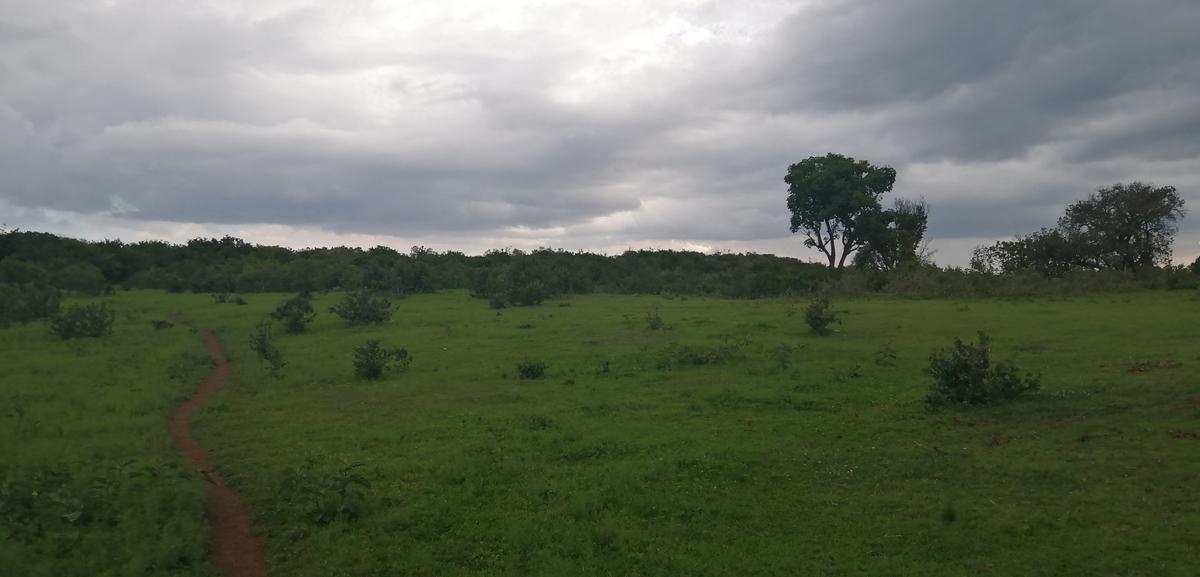 4,000 ac Land at Rumuruti - 5