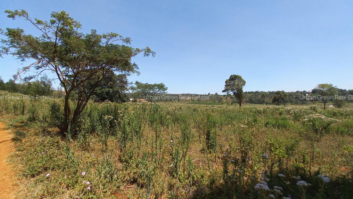 1 ac Land at Kerarapon Drive - 4