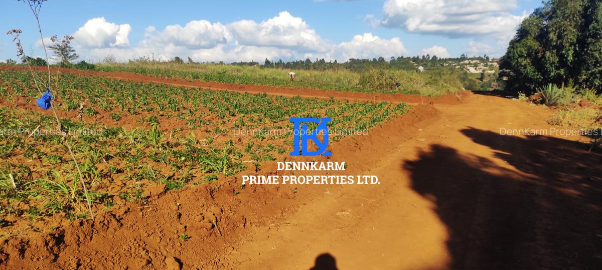 0.05 ha Residential Land at Thigio - 8