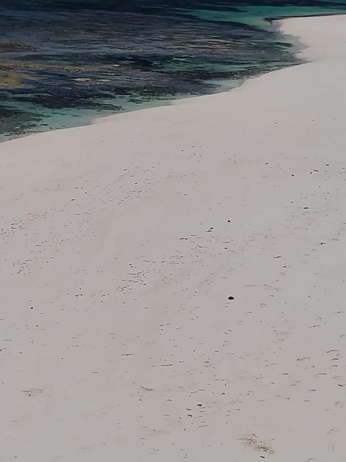 Land in Kilifi County - 7