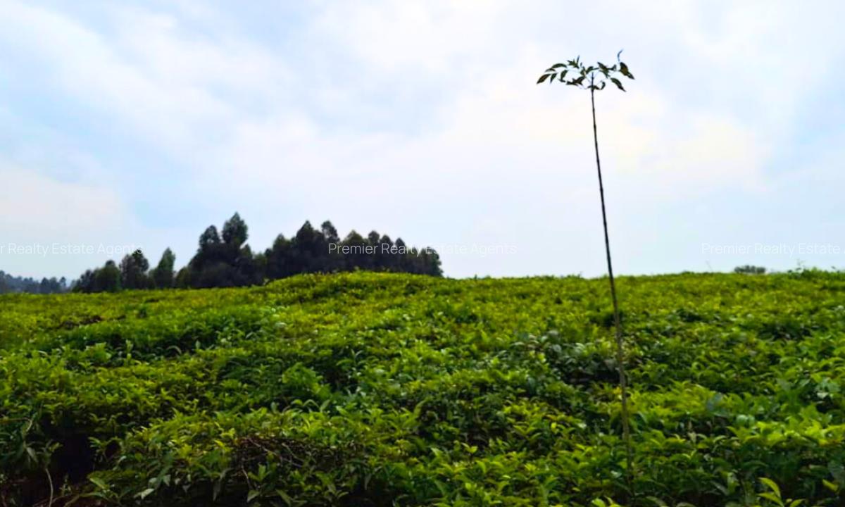 20 ac Residential Land at Riara Ridge - 3