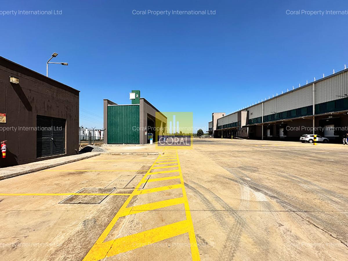 Warehouse in Tatu City - 13