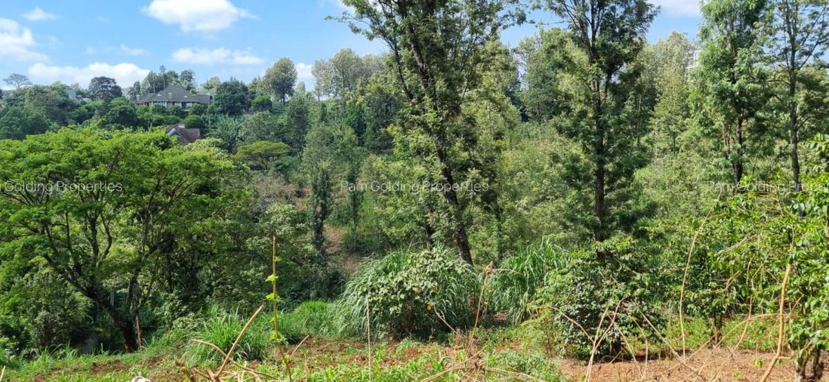 0.5 ac Land at Kinanda Close - 8