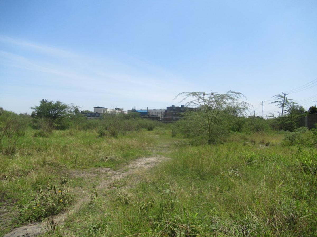 Land at Nyasa Rd - 1