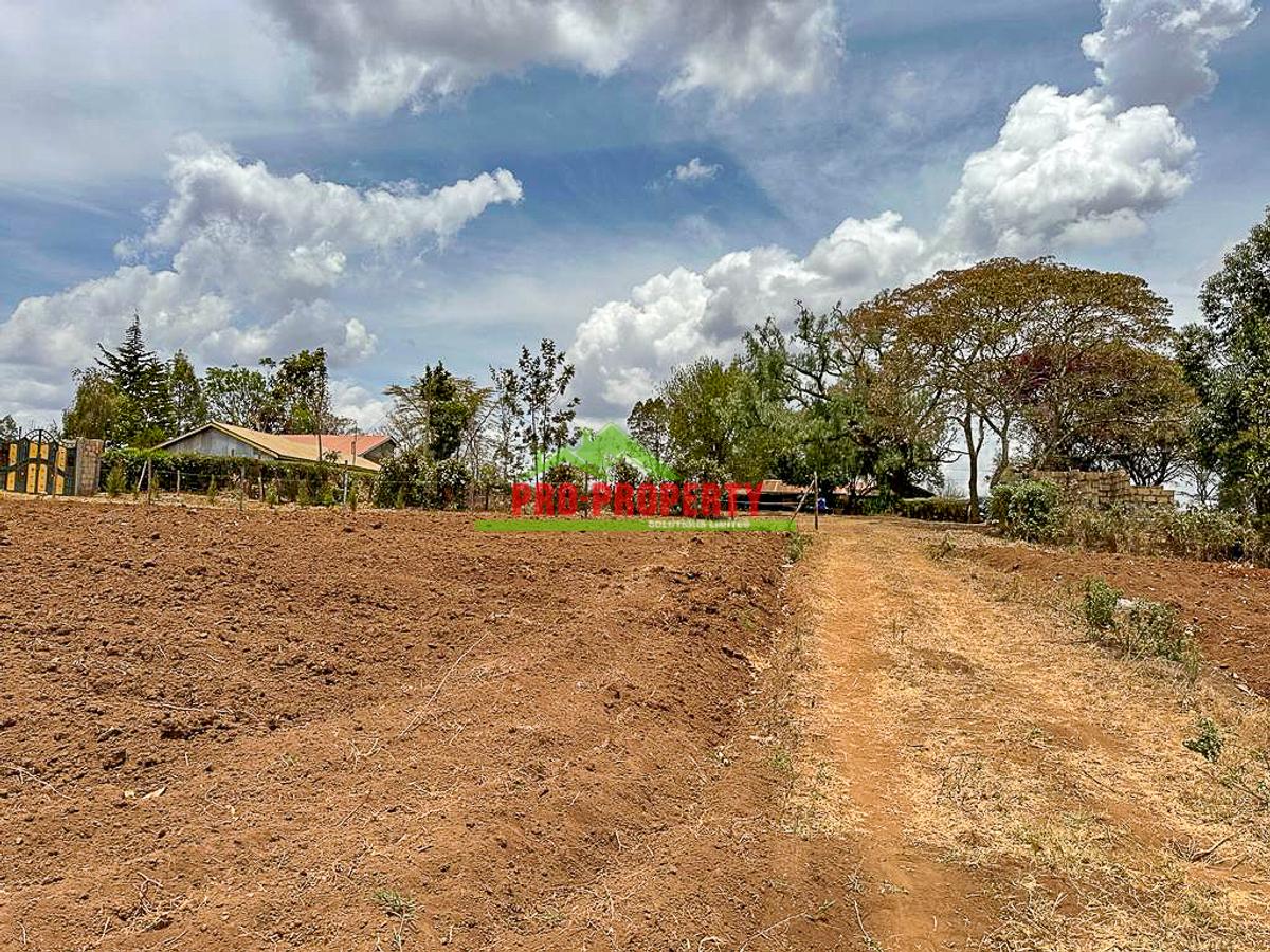 0.2 ha Residential Land in Kamangu - 10