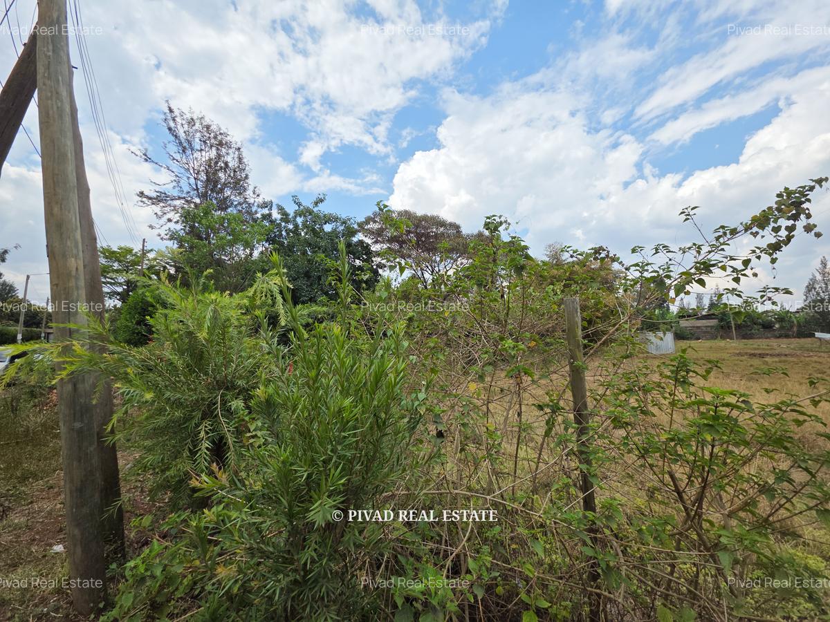 0.5 ac Land in Thome - 2