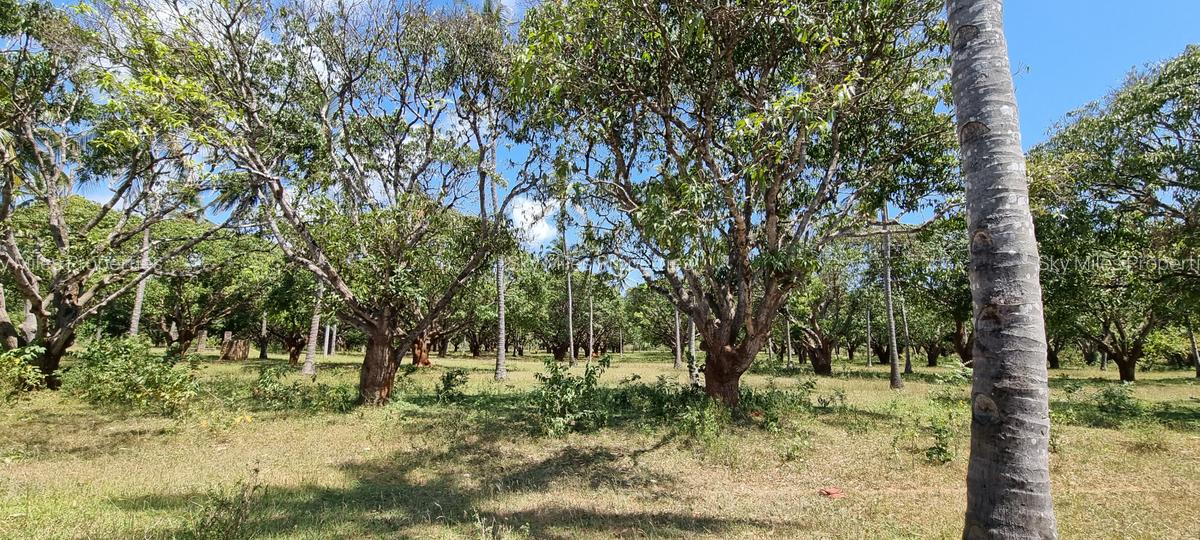 6 ac Land at Mtwapa - 13