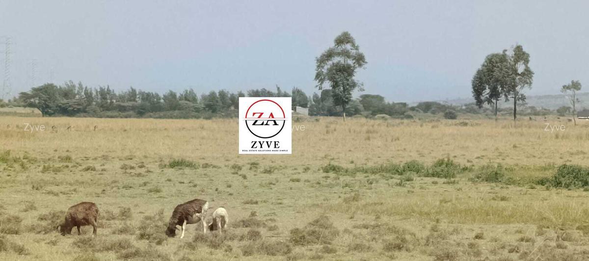 3 ac Land at Mirera - 7