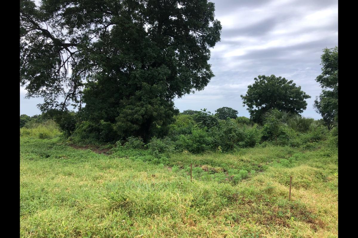 Residential Land in Vipingo - 7