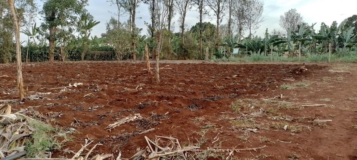 Residential Land at Ruiru- Kibichoi Route - 6