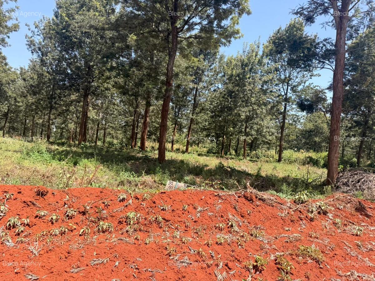 500 m² Land at Ruiru-Githunguri Road - 12
