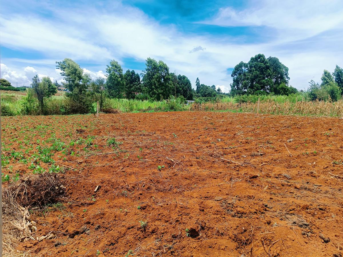 1,000 m² Residential Land at Kwa-Ngando - 6