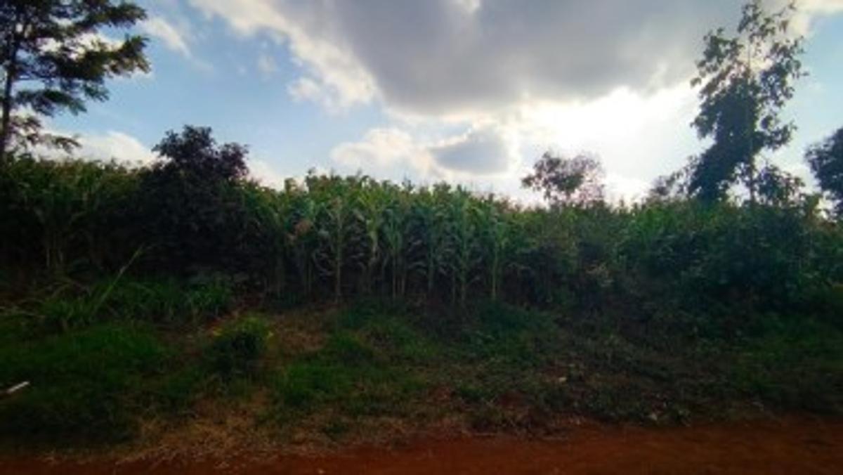 0.25 ac Commercial Land at Nairobi-Nakuru Highway At Kiambaa - 2