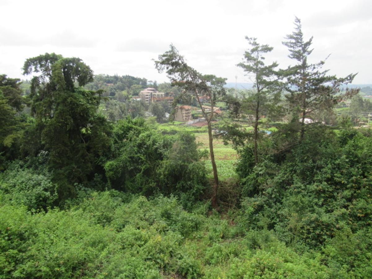 Land at Ngong Town - 8