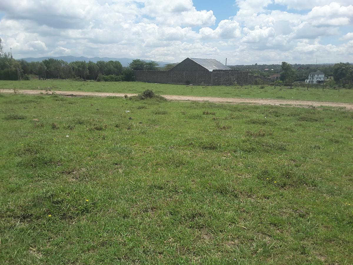 0.1 ha Residential Land in Ongata Rongai - 8