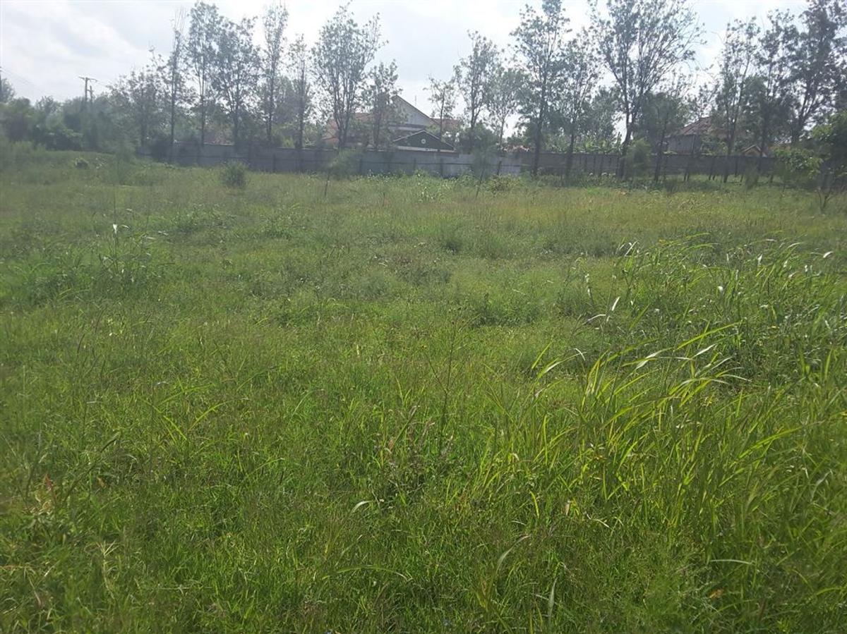 0.113 ac Residential Land in Ongata Rongai - 1