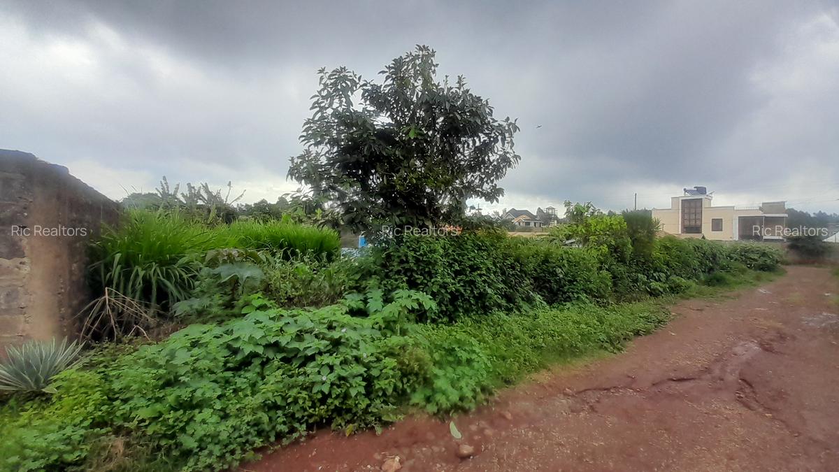 0.231 ha Land at Gikamburua - 17