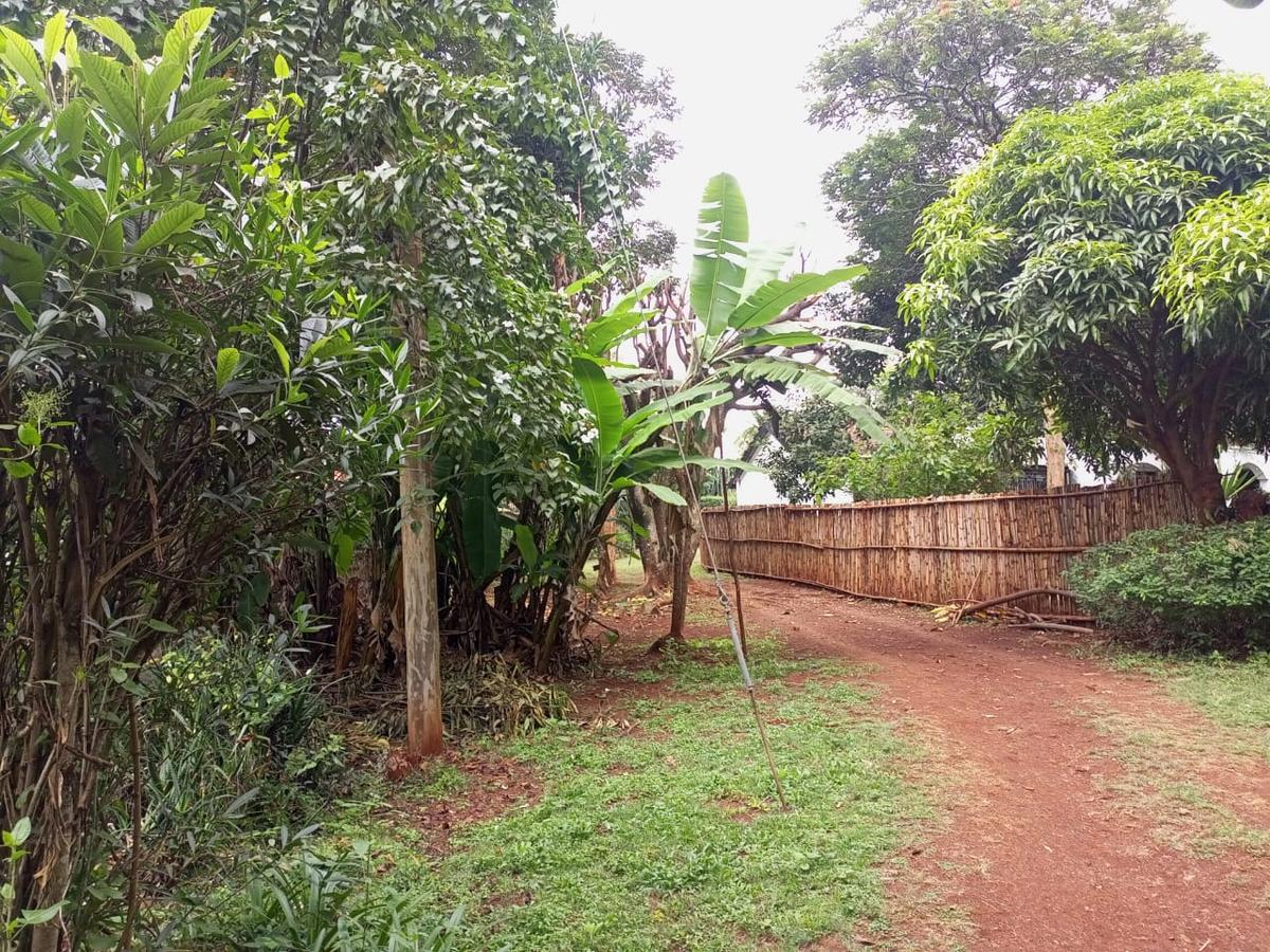 1 ac Land in Kitisuru - 5