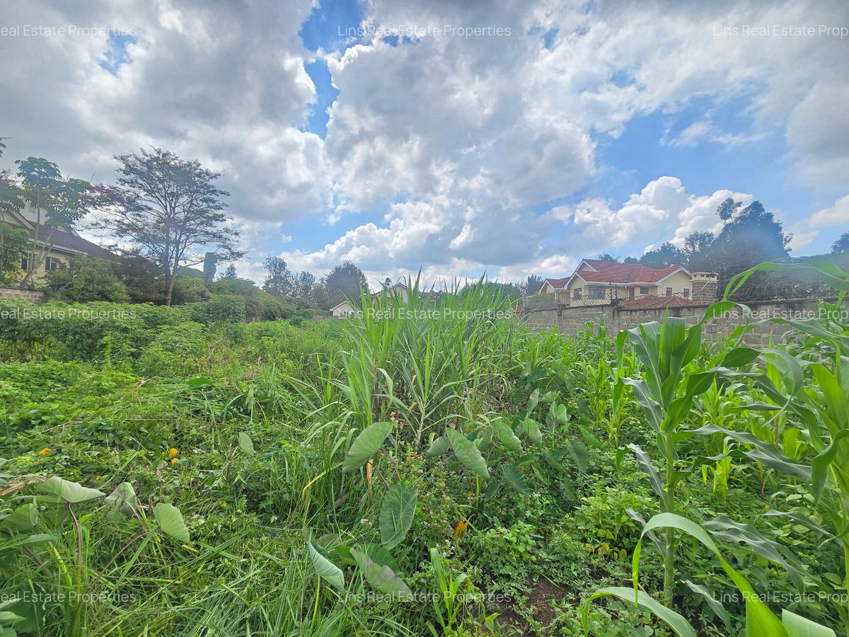 Residential Land in Runda - 3