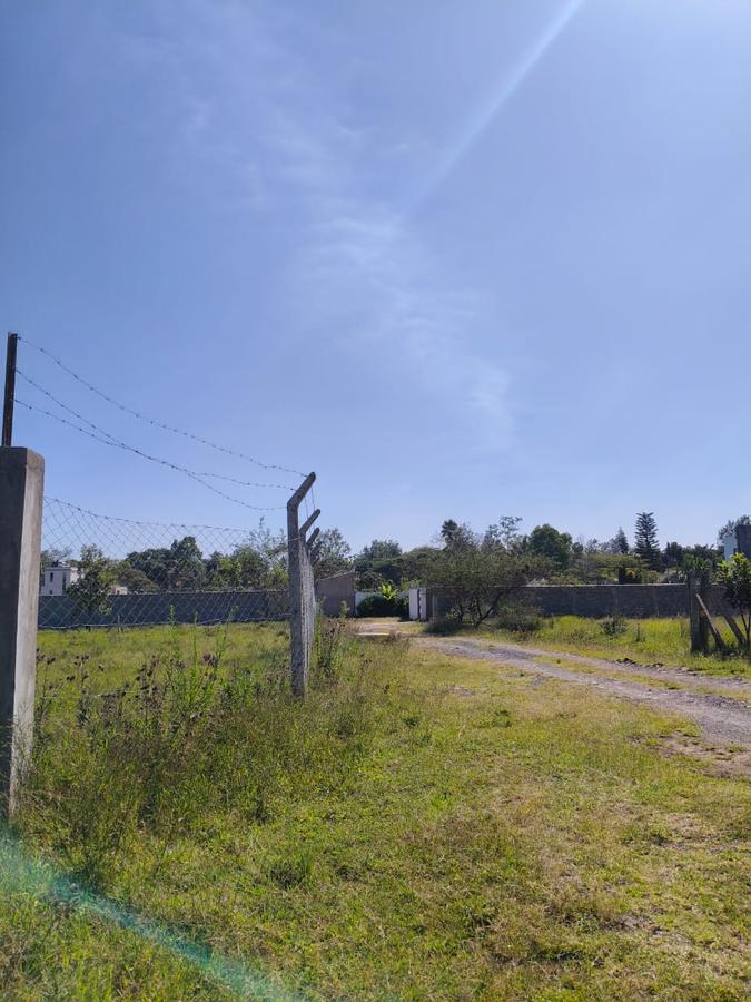 Residential Land at Marula Road - 7