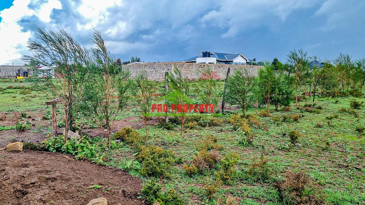 0.05 ha Residential Land in Nanyuki - 3