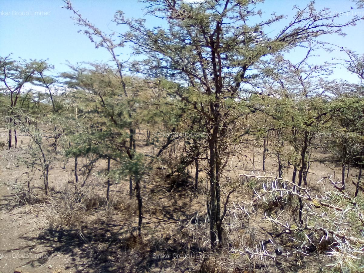 Land at Nanyuki - 6