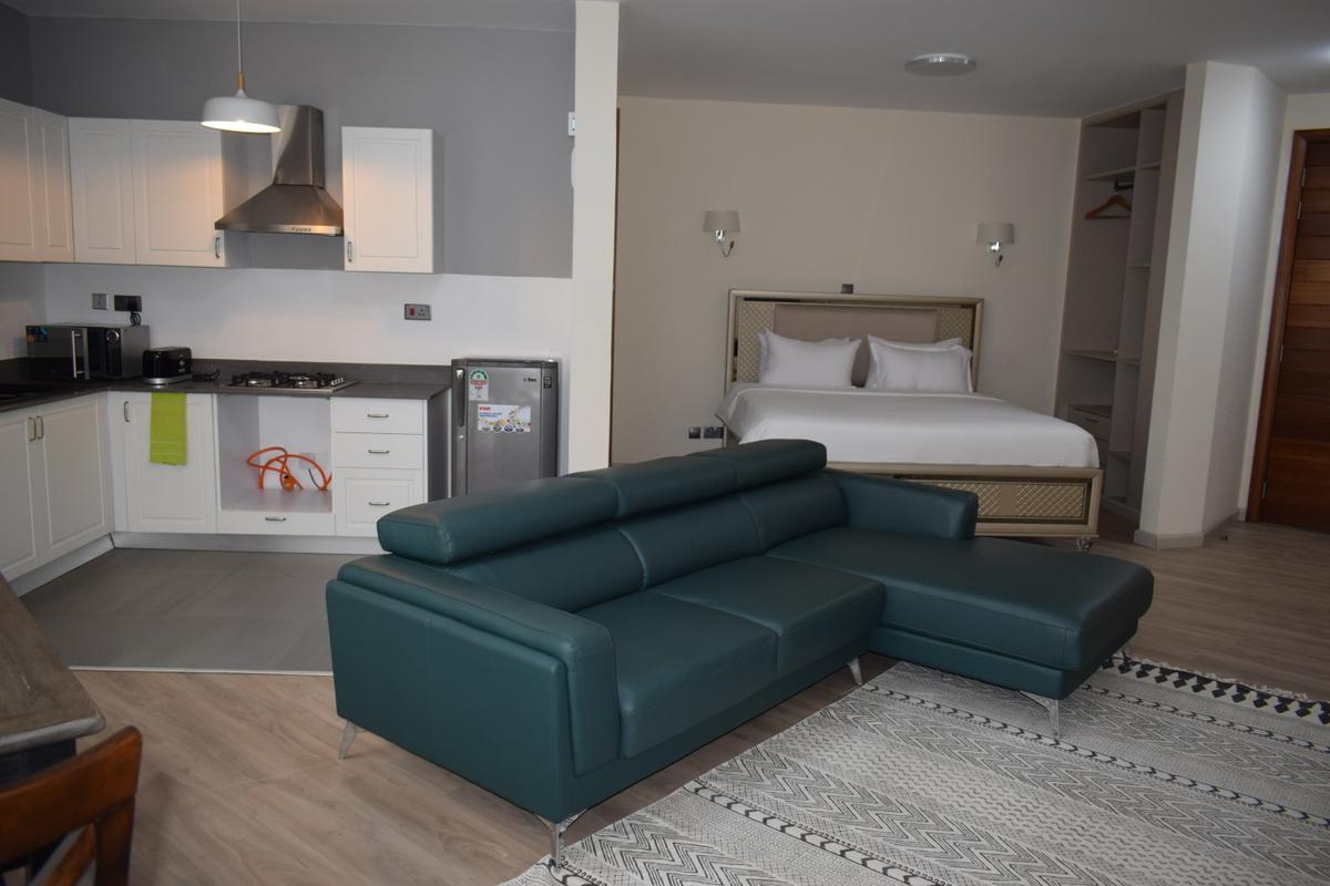 Furnished Studio Apartment with Swimming Pool at Muthangari Drive - 5