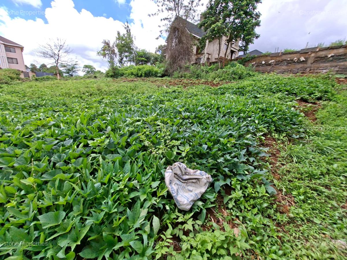 Residential Land in Runda - 10