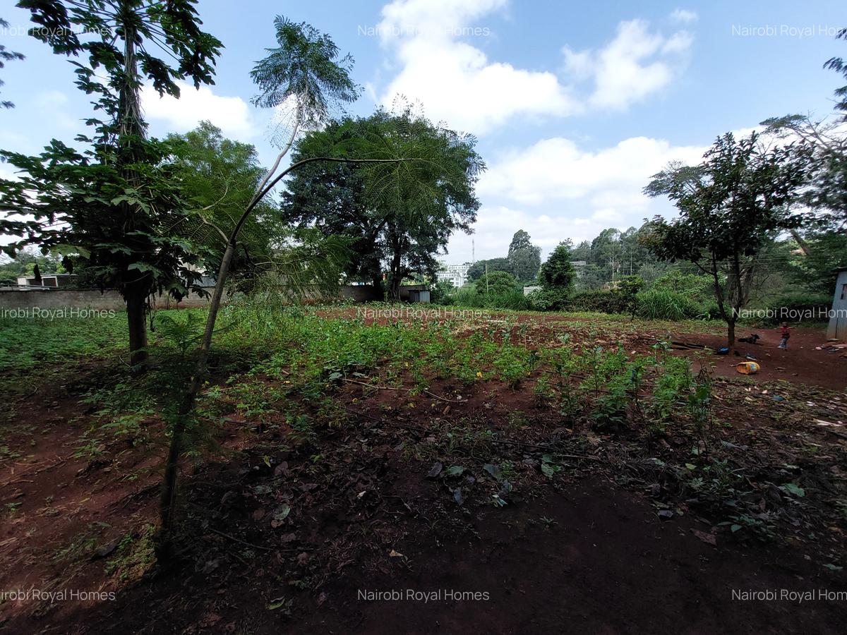 Residential Land at Kirawa Road - 2