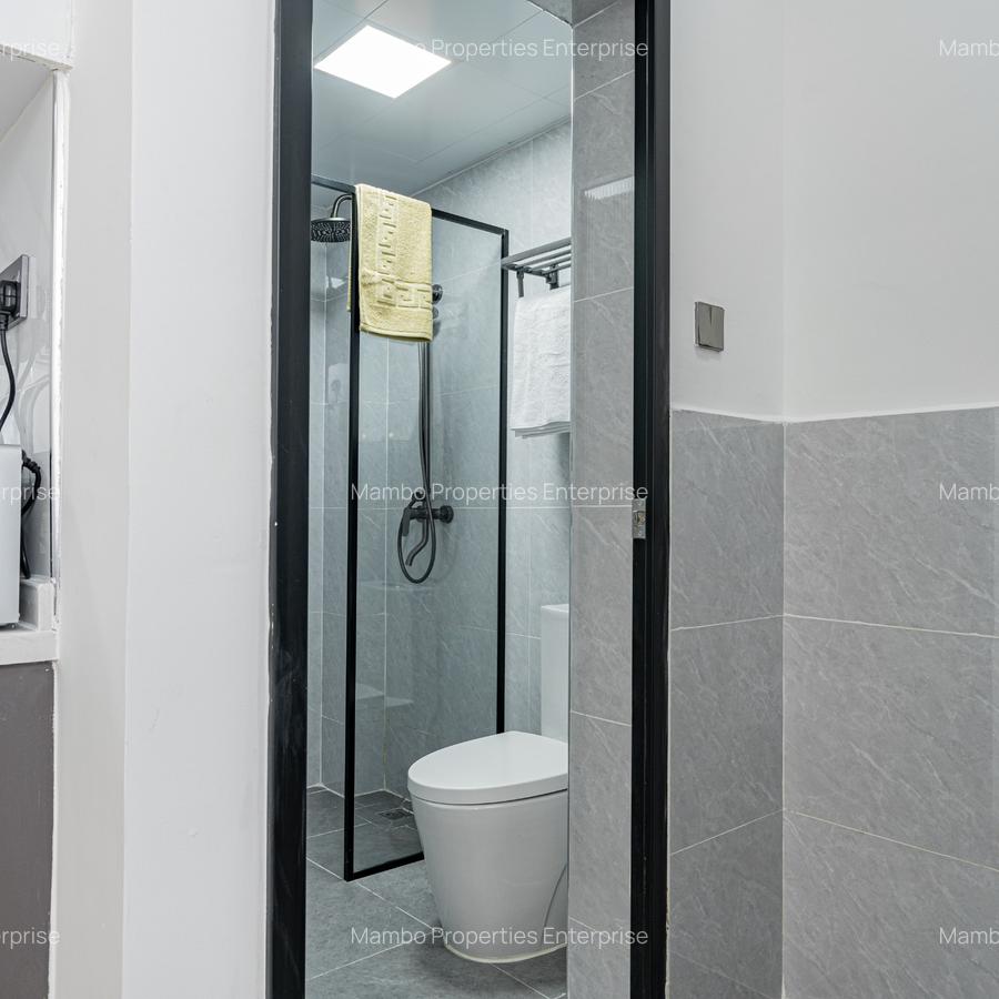 Serviced 1 Bed Apartment with En Suite at David Osieli - 13