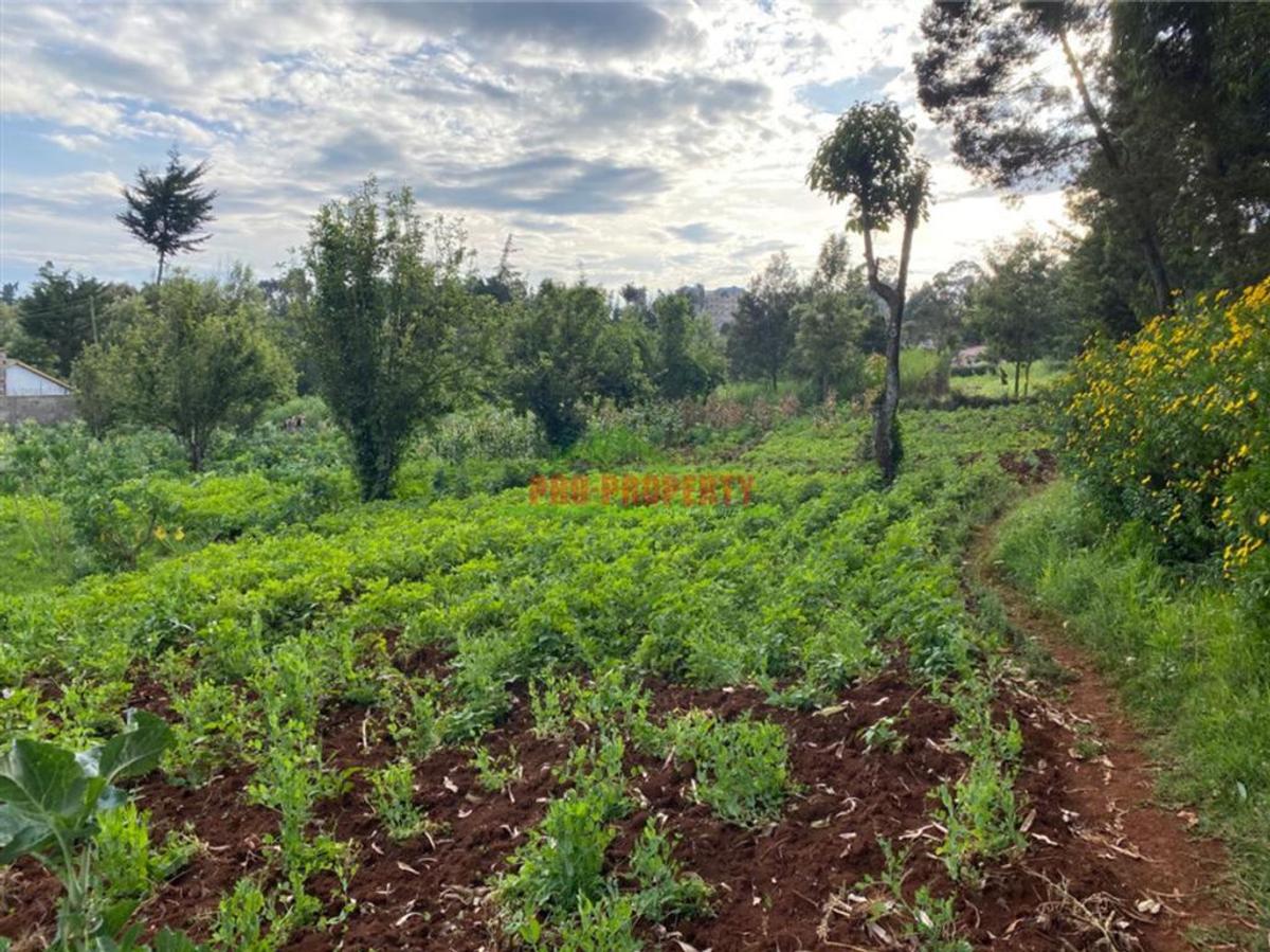 4,000 m² Land in Limuru - 9