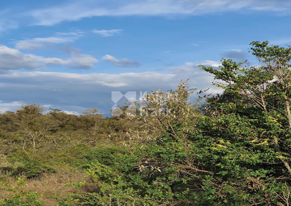 10 ac Land in Nanyuki - 8