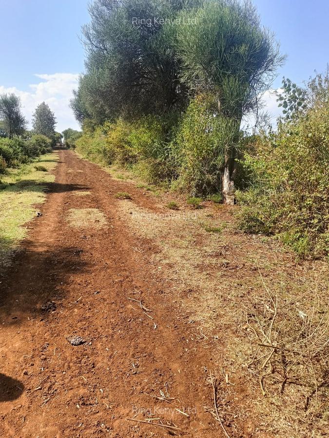 Land at Kibirichia - 11