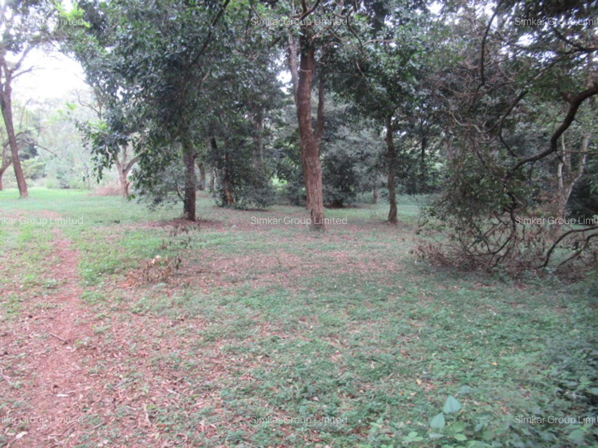 4 ac Land at Mushroom Gardens - 13