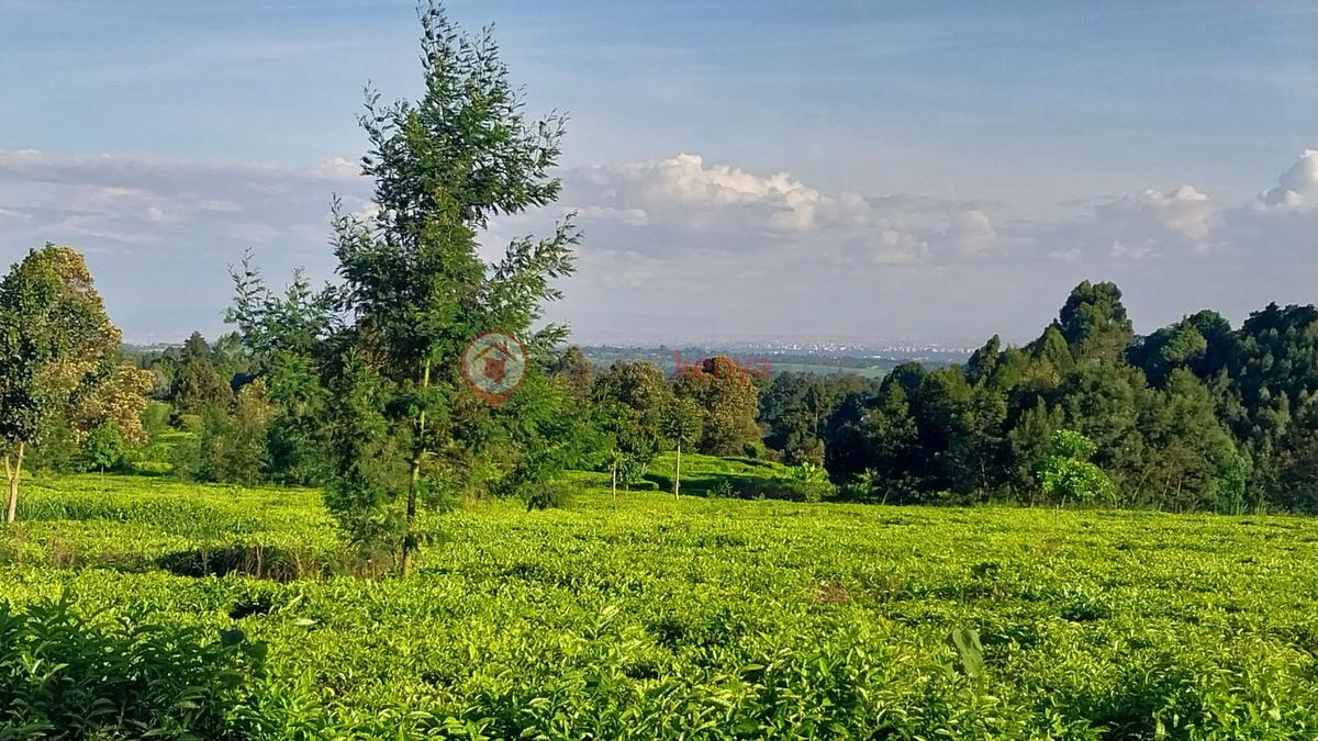0.5 ac Land at Limuru Girls Secondary School - 6