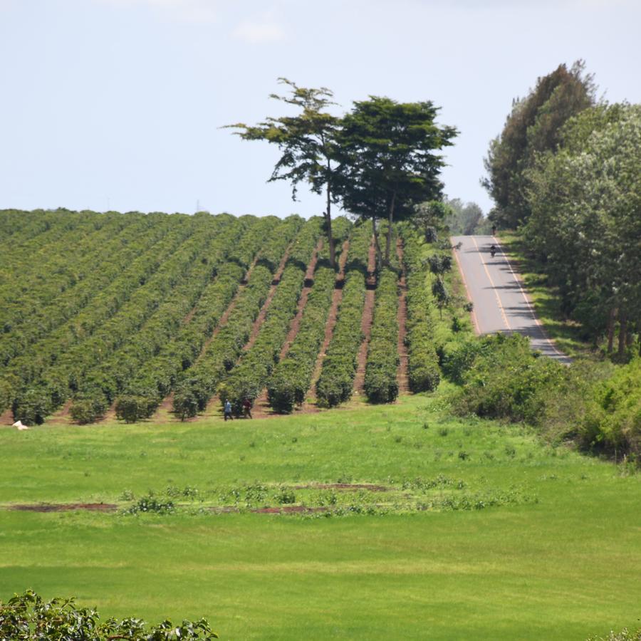 Zuri Springs in Tatu City, Kiambu County - 3